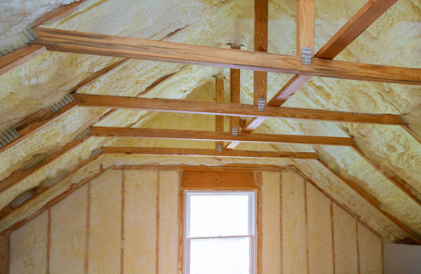 Best Eco-Friendly Insulation in Harbor Bluffs, FL