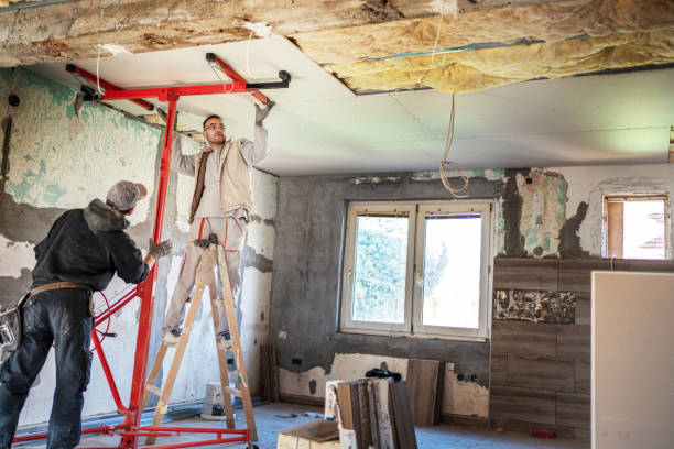Best Cellulose Insulation in Harbor Bluffs, FL