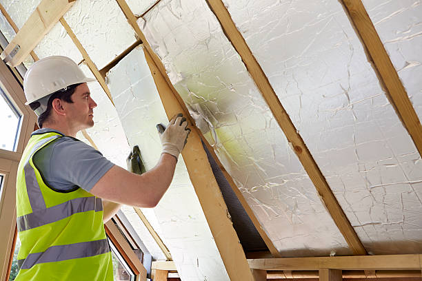 Best Insulation Maintenance and Repair in Harbor Bluffs, FL